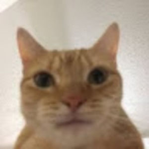 Meet your Posher, Darius